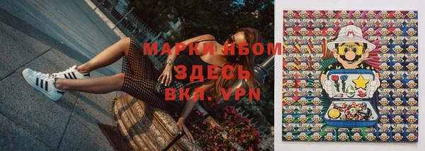 прущие грибы Алексин