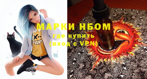 прущие грибы Алексин