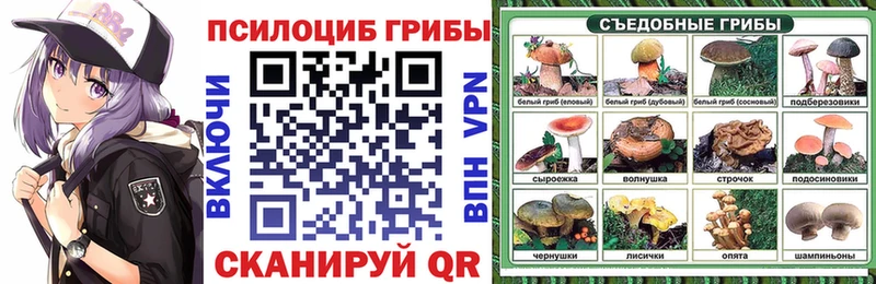 закладки  darknet клад  Псилоцибиновые грибы Psilocybe  Анива 
